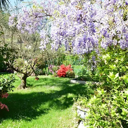Hotel Garni Ca Vegia 3*